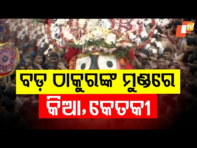 Bada Thakura Dons Floral Tahia Adorned with Kia, Ketaki, Champa & Malli at Ratha Yatra