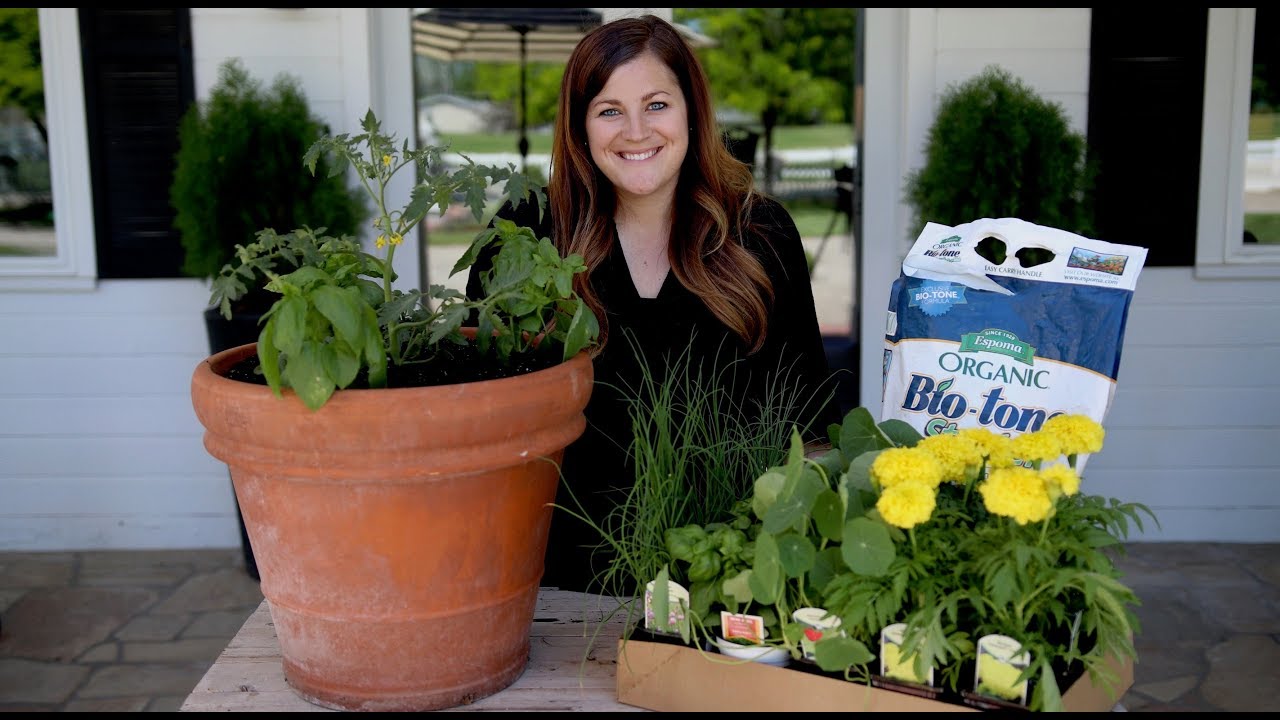 Companion Planting Basics