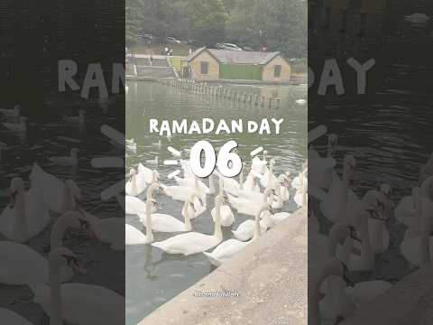 🌙 - ramadan day 6 iftaar !! #ramadan #food #ramadan2026