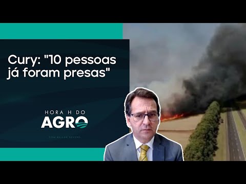 O que está por trás dos incêndios criminosos em SP? | HORA H DO AGRO