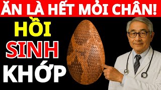 10 MÓN ĂN TÁI TẠO COLLAGEN CHO KHỚP GỐI – NGƯỜI GIÀ HẾT ĐAU CHÂN, SỐNG KHỎE NHƯ TUỔI 40