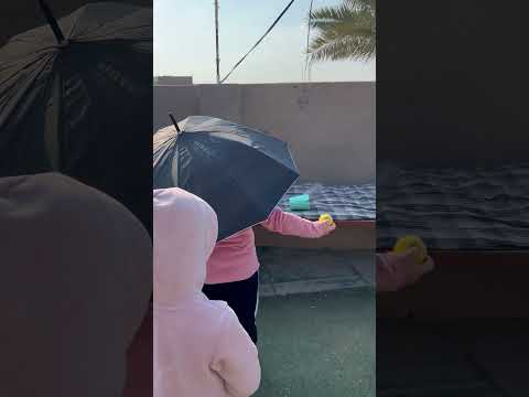 هاي شنو #الشعب_الصيني_ماله_حل #تحشيش