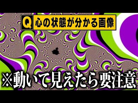 【衝撃】天才にしか解けないクイズがツッコミどころ満載だったwww傑作選#66【クイズ】【なろ屋】【ツッコミ】