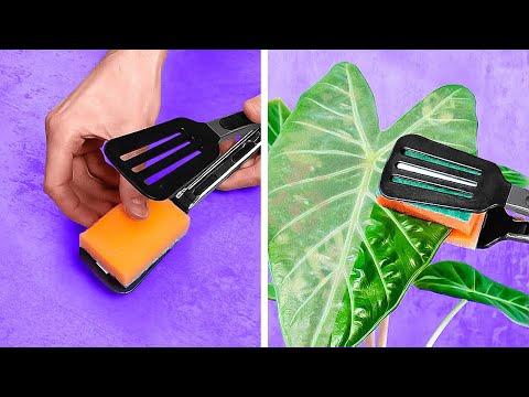 FLASH Tidy Your House with These DIY Cleaning Tools Now!