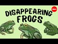 Frog Conservation and Ecology