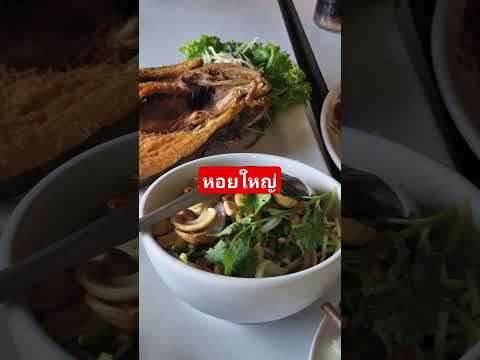 หอยใหญ่สุราษฎร์ธานี ตามติดชีวิตเมียฝรั่ง สวีเดน หอยใหญ่สุราษฎร์ธานี