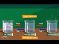 Water Cycle Concepts and Processes