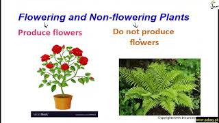 Flowering and Non-flowering Plants