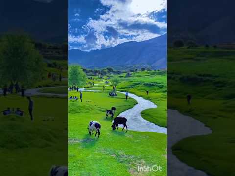 Most Beautiful Nature On the Earth 🌍📍 Don't Real Feel #bestscenery #beatifulnature #love #nicescene