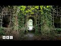 Exploring Ghost Towns and Nature's Resilience