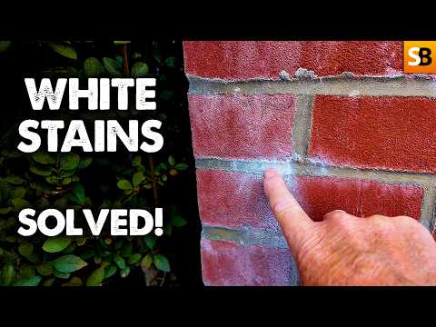 Salt Stains on Brickwork Explained – What Every Homeowner Should Know