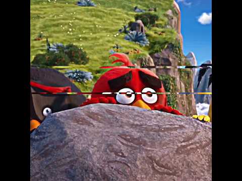 Angry Bird | Angry Bird Movie Edit | #shorts #shortsfeed