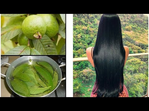Como Fazer o Cabelo Crescer Rápido em Uma Semana - Receita Caseira - O JEITO CERTO DE USAR!