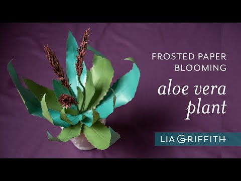 DIY Frosted Paper Blooming Aloe Plant