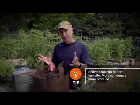 Easy Growing Edibles for Your Small Space Garden