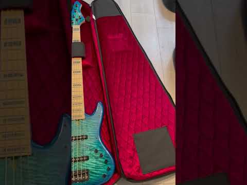 Sean Michael Ray talks Aero, Continental Voyager Bass Case Series & RBX Double Bass Case.
