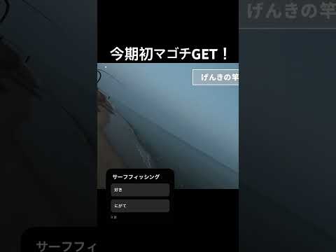 今期初マゴチ！