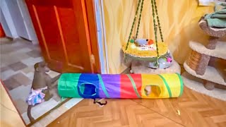 видео