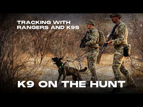 K9 on the Hunt | Pro's Guide to Tracking with Rangers and K9s