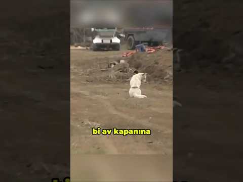 6 Ay Boyunca Kapanın İçinde Mahsur Kaldı! Kurtulması Mucize...