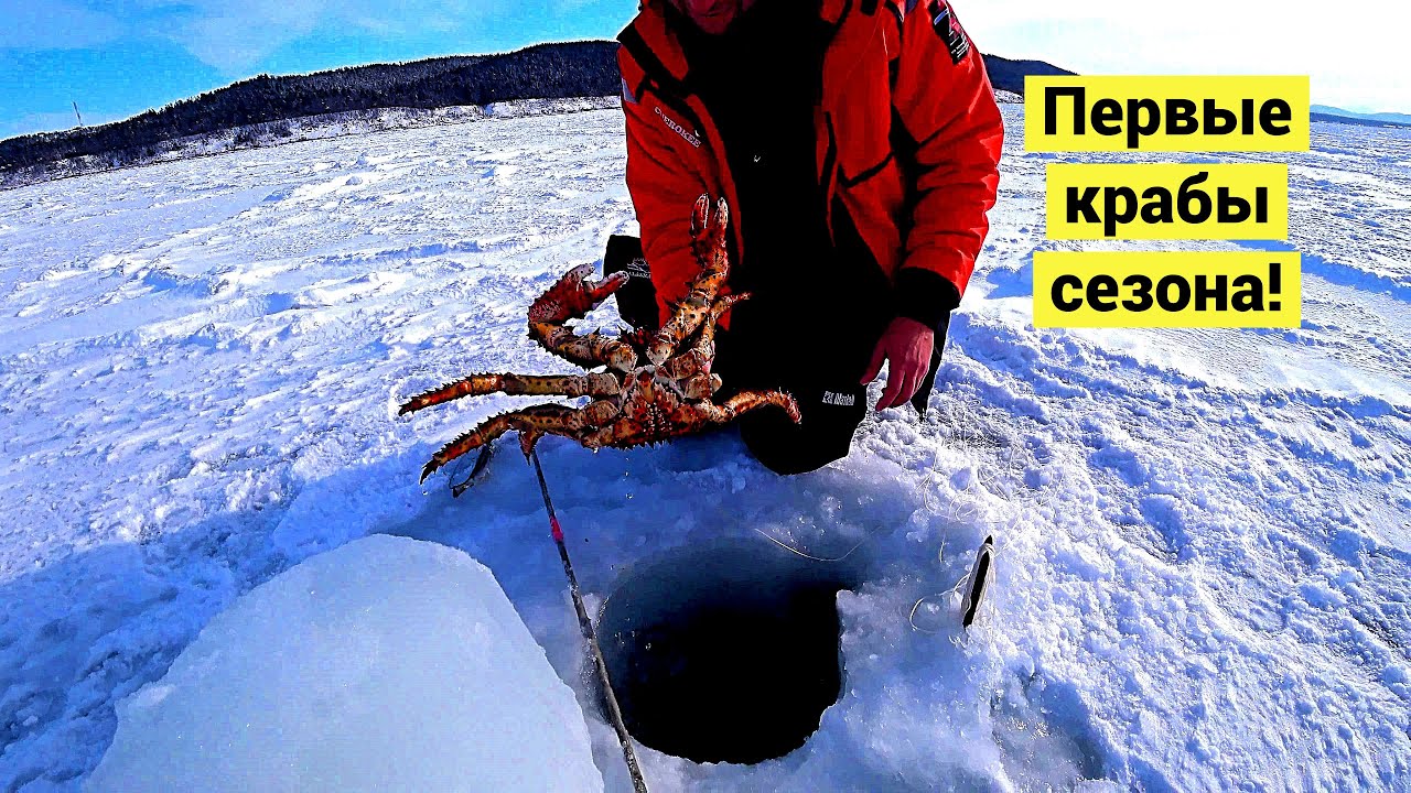 Первые крабы сезона! // (Eng Subs)
