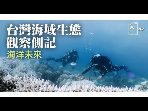 【經典.TV】20210221 - 大海島人 - 台灣海域生態觀察側記 海洋未來 - YouTube(24分)