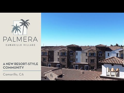 Palmera lifestyle video