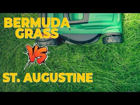 Floratam Grass Sod For Sale 11 21