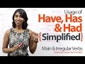 Understanding the Verb 'To Have'
