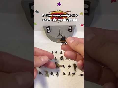 Alguém conhece alguém assim? Manda pra essa pessoa 😂😂😂😂 #memes #meme #videos #comedy
