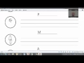 Mitosis and Cell Cycle Concepts