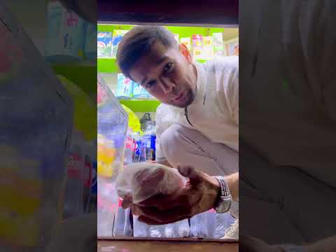 Oสปgrini qaroqchi urdi ๐ฑ๐ฑ๐ก๐ก๐คฃ #comedy #instagram #reelsinstagram #reelsvideo #video #prikol #rek