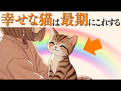 猫の動画サムネイル - 【幸せだった猫だけが最期にする行動】 猫の雑学 #猫 #ねこ