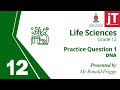 Understanding DNA Structure and Function