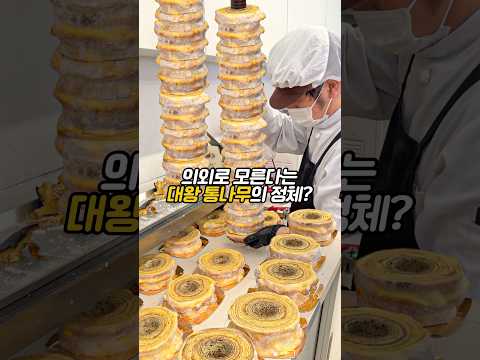 우리나라에 딱 하나뿐인 통나무의 정체 ㄷㄷ