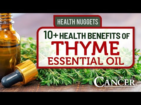 10+ Health Benefits of Thyme Essential Oil