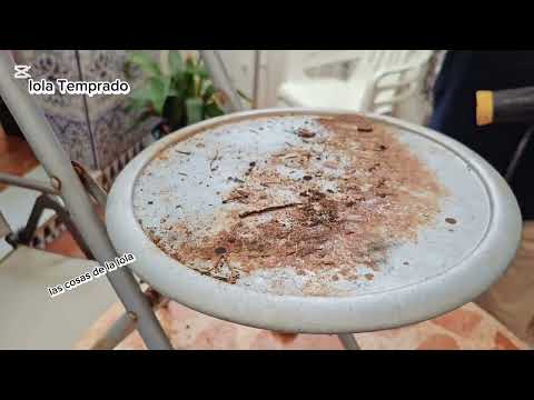 Transformación total de un viejo taburete
