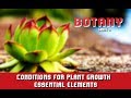 Plant Growth and Nutrient Essentials
