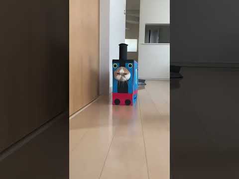 düğün dernek hasılat