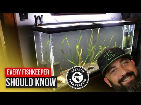 A problem That every Fishkeeper has dealt with. Thanks for stopping by my channel. In Today's video I show you A problem That every Fishkeeper has d