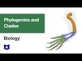 Evolutionary Biology Concepts and Structures