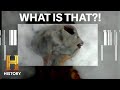 Alien Encounters and Mysteries