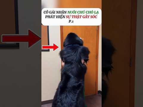 Không Ngờ Sự Thật Về Chú Chó Cô Gái Nuôi Lại Rùng Rợn Đến Vậy.#vairal #video #shorts #bian