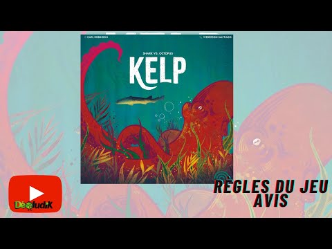 Kelp - Règles du Jeu + Avis - Wonderbow Games