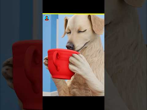 🐕যদি একটা কুকুর মানুষের মতো🧑🦱জল চুমুক দিয়ে খাই ☕তাহলে সব জল পড়ে যাবে 😱⁉️ | #shorts #bangla #facts
