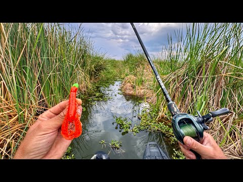 Imposible NO PESCAR con este Señuelo! | Increíble Pesca de Lobina en Kayak!