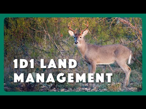 1-D-1 Management Trailer