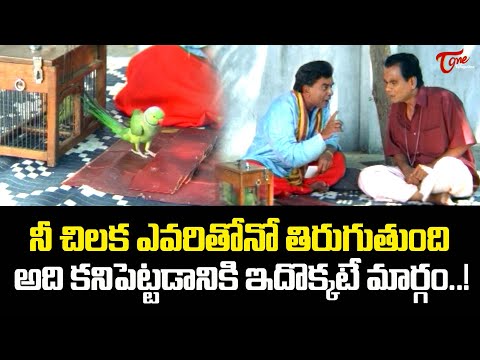 నీ చిలక ఎవరితోనో తిరుగుతుంది..! Actor LB Sriram Best Romantic Comedy Scene | Navvula Tv