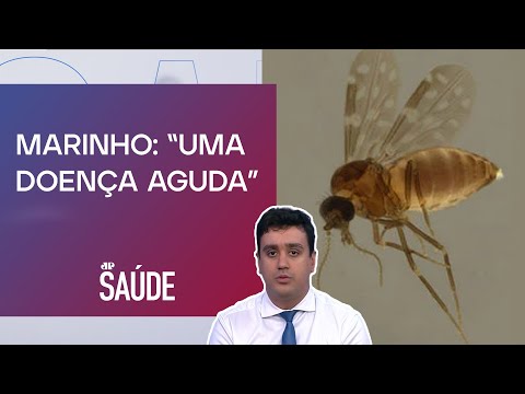 Oropouche: Identificada pela primeira vez no Brasil em 1960 | JP SAÚDE