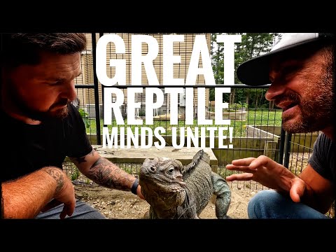Chris Leone of Garden State Tortoise's other Reptiles!